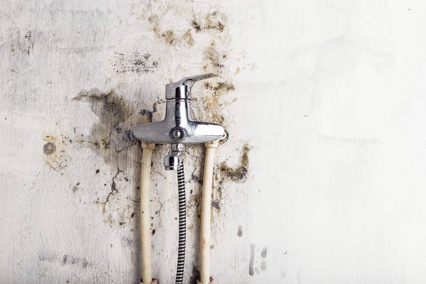 Best Mold Removal and Inspection  in Lancaster, SC